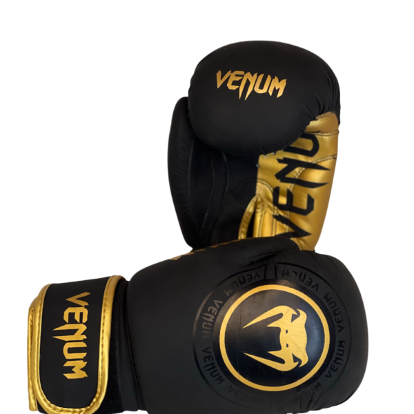 Gants de Boxe Venum