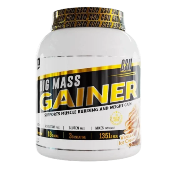 GSN - BIG MASS GAINER